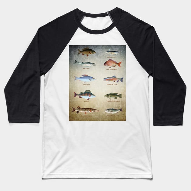 Fish Chart Baseball T-Shirt by JimDeFazioPhotography